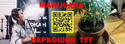 индика Беслан