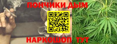 индика Беслан