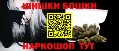 индика Беслан