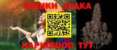 индика Беслан