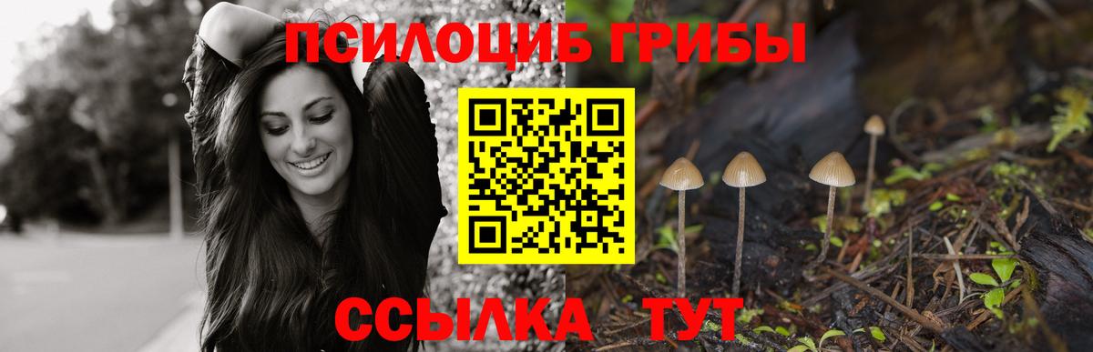 Галлюциногенные грибы GOLDEN TEACHER Качканар
