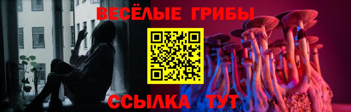 Качканар  Галлюциногенные грибы Magic Shrooms  Вход с VPN  Псилоцибиновые грибы мухоморы 